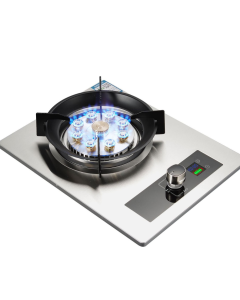 Gas Stove