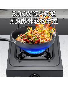 Gas Stove