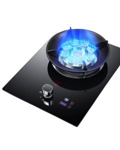 Gas stove