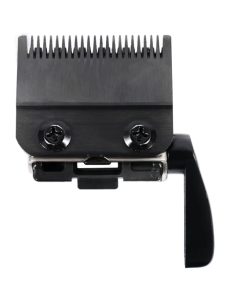 Cutter Head