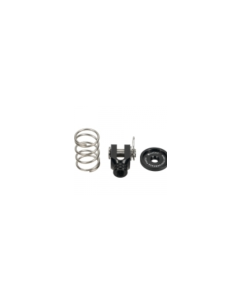 Beach bike brake lever spring
