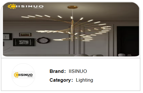 aisinuo
